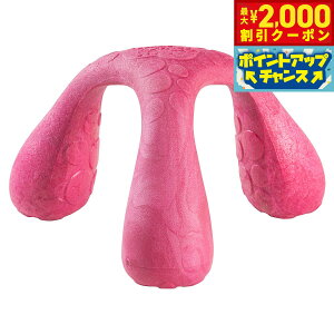 【2000円OFFクーポン!&エントリーでポイント+13倍!本日限定!】ウェストポウ ゾゴフレックス エア ウォックス ドッグトイ L カラント(ダークピンク)