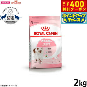 y400~OFFN[|IX|Cgő39{I{IzCJi L Lbgt[h Lg 2kg Ki Lpi/˂ObY/ybg ybgObY/ybgpi