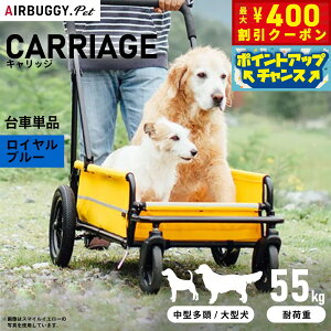 y400~OFFN[|IGg[Ń|Cg+4{I111IzGAoM[ tH[ hbO LbWiCARRIAGEj ԒPi Cu[yz ybgJ[g AIRBUGGY AD3032
