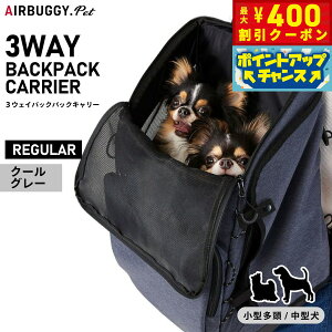 【400円OFFクーポン!&エントリーでポイント+4倍!11月1日!】エアバギー フォー ペット AIRBUGGY FOR PET 3ウェイバックパックキャリー レギュラー クールグレー ペットキャリー 多機能 リュック
