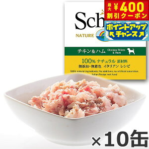 y400~OFFN[|IX|Cgő39{I{IzSchesiriVVAjhbOV[Y [[^Cv `Ln 150g×10 hbOt[h EFbgt[h ʋl Y pi/ybgp