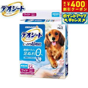 y400~OFFN[|IGg[Ń|Cg+4{I111Izj `[ fIV[g 蒴z L^Cv Ch 54 ybgV[c gCV[c p