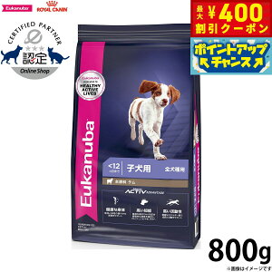 [Jko Eukanuba hbOt[h ps[ CX 800g VjAp Sp