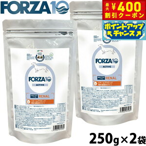 y400~OFFN[|IGg[Ń|Cg+4{I111IztHc@10 Forza10 hbOt[h i[ANeBu ~j tPApHÖ@H 250g×2 Y  