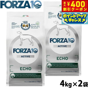 y400~OFFN[|IGg[Ń|Cg+4{I111IztHc@10 Forza10 hbOt[h GR[ANeBu ~fBA ̃PApHÖ@H 4kg×2 Y  