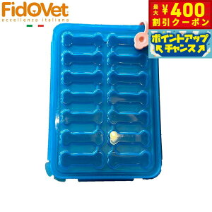 y400~OFFN[|IGg[Ń|Cg+4{I111IztBhxbg t[Yg[ggC S X ACXg[