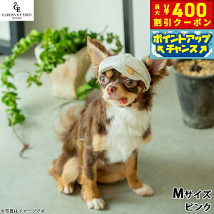 y400~OFFN[|IX|Cgő39{I{Iz̖Xq K[fIuGf I[KjbNRbgLXPbg M sNyz  t@bV o