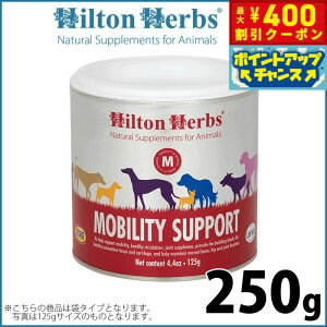 y400~OFFN[|IGg[Ń|Cg+4{I111Izqgn[u reB T|[g 250g Tvg n[u ֐߂̃T|[g 