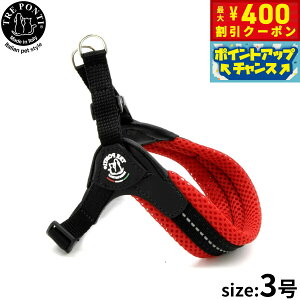 y400~OFFN[|IGg[Ń|Cg+4{I111Izg|eB TRE PONTI tBbrA AWX^u^Cv \tgbV n[lX 3 bh