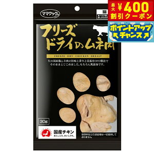 y400~OFFN[|IGg[Ń|Cg+4{I111Iz}}NbN t[YhC̃l Lp 30g