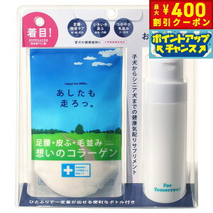 y400~OFFN[|IGg[Ń|Cg+4{I111Izjbs Tvg B p Zbg 40g Tv ֐ 畆 R[Q 