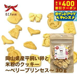 y400~OFFN[|IGg[Ń|Cg+4{I111IzI[V[t@[ p ƕĕ̃NbL[ x[vZX 30g Y Y