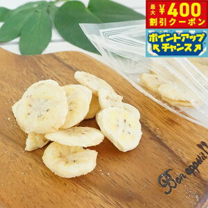 y400~OFFN[|IGg[Ń|Cg+4{I111Izs[X t[YhCV[Y oii 20g Y  i` VR  hbO g[c