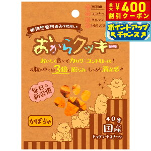 y400~OFFN[|IX|Cgő39{I{Izybc[g NbL[ ڂ 40g   Y Y  J[ Oet[ H@ Ă