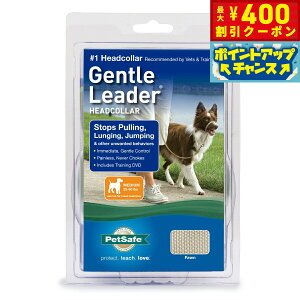 y400~OFFN[|IGg[Ń|Cg+4{I111IzybgZ[t WFg[_[ wbhJ[ NCbN[X M