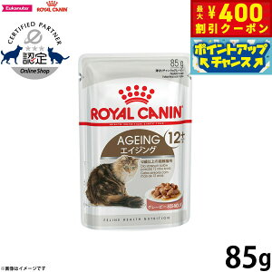 y400~OFFN[|IGg[Ń|Cg+4{I111IzCJi L Lbgt[h EFbgt[h GCWO 12{ 85g Ki Lpi/˂ObY/ybgObY/ybgpi