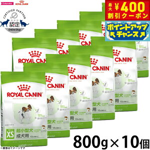 y400~OFFN[|IGg[Ń|Cg+4{I111IzCJi  hbOt[h GNXg X[ A_g 800g×10 Ki pi/ybgObY/ybgpi