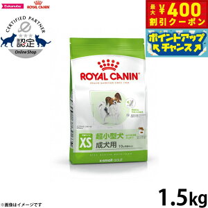 y400~OFFN[|IGg[Ń|Cg+4{I111IzCJi  hbOt[h GNXg X[ A_g 1.5kg Ki pi/ybgObY/ybgpi [RC-AD]