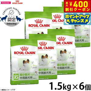 y400~OFFN[|IGg[Ń|Cg+4{I111IzCJi  hbOt[h GNXg X[ A_g 8{ 1.5kg×6 Ki pi/ybgObY/ybgpi