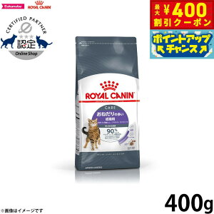 y400~OFFN[|IGg[Ń|Cg+4{I111IzCJi Ay^CgRg[ 400g ˂̑Lp Lp Lbgt[h tB[C PA j[gV 