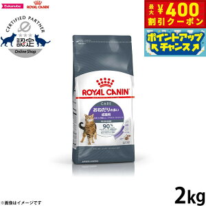 y400~OFFN[|IGg[Ń|Cg+4{I111IzCJi Ay^CgRg[ 2kg ˂̑Lp Lp Lbgt[h tB[C PA j[gV 