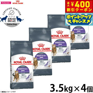 y400~OFFN[|IGg[Ń|Cg+4{I111IzCJi Ay^CgRg[ 3.5kg×4 ˂̑Lp Lp Lbgt[h tB[C PA j[gV