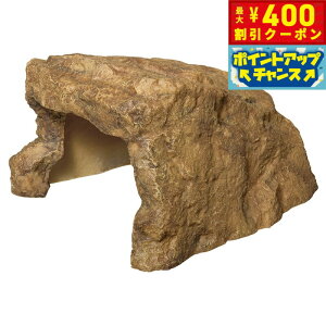 y400~OFFN[|IGg[Ń|Cg+4{I111IzXh[ bNVF^[SP XL