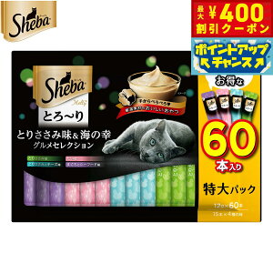 y400~OFFN[|IGg[Ń|Cg+4{I111IzV[o Lp Ƃ` eB Ƃ肳ݖC̍KOZNV 12g×60{ }[XWp Lbgg[c