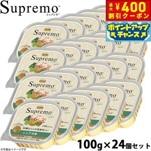 y400~OFFN[|IGg[Ń|Cg+4{I111Izj[g Vv hbOt[h J[PA VjAp 24Zbgyz Y EFbgt[h ⋋ gC