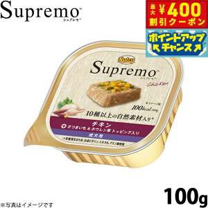 y400~OFFN[|IGg[Ń|Cg+4{I111Izj[g Vv hbOt[h J[PA `L p 100g Y EFbgt[h ⋋ gC