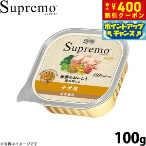 y400~OFFN[|IGg[Ń|Cg+4{I111Izj[g Vv J[PA qp 100g NUTOR hbOt[h EFbg Y  pi ybgpi ͂ v~A i