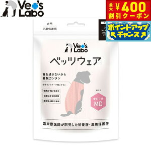 y400~OFFN[|IGg[Ń|Cg+4{I111Izxbc{ p xbcEFA p㕞 畆ی앞 ̎qp MD sNyz GUxXJ[  p