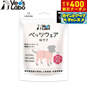 y400~OFFN[|IGg[Ń|Cg+4{I111Izxbc{ p xbcEFA p㕞 畆ی앞 t ̎qp XS sNyz GUxXJ[  p