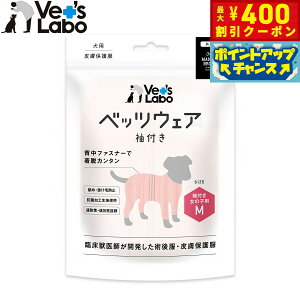 y400~OFFN[|IGg[Ń|Cg+4{I111Izxbc{ p xbcEFA p㕞 畆ی앞 t ̎qp M sNyz GUxXJ[  p