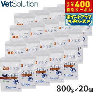 y400~OFFN[|IGg[Ń|Cg+4{I111Izxbc\[V Vet Solution hbOt[h pHÖ@H tVE_T|[g 800g×20 Y ^ 