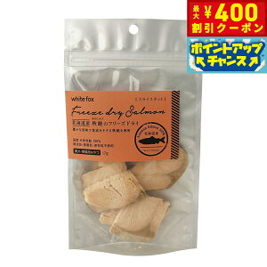 y400~OFFN[|IGg[Ń|Cg+4{I111IzzCgtHbNX kCY H̃t[YhC XCXJbg 17g  L  育 gbsO Y Y 