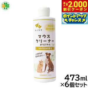 y2000~OFFN[|IGg[Ń|Cg+20{I{Iz}EXN[i[ 473ml×6Zbg