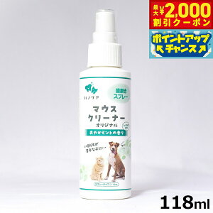 y2000~OFFN[|IGg[Ń|Cg+20{I{IzKPS ~gvX }EXN[i[ 118ml pi/Lpi/ybgObY/ybgpi