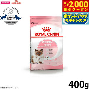 y2000~OFFN[|IGg[Ń|Cg+20{I{IzCJi L Lbgt[h }U[xr[Lbg 400g Ki Lpi/˂ObY/ybgObY/ybgpi