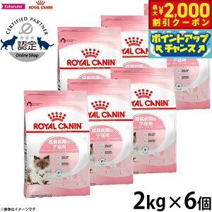 y2000~OFFN[|IGg[Ń|Cg+20{I{IzCJi L Lbgt[h }U[xr[Lbg 2kg×6 Ki Lpi/˂ObY/ybgObY/ybgpi