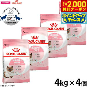 y2000~OFFN[|IGg[Ń|Cg+20{I{IzCJi L Lbgt[h }U[xr[Lbg 4kg×4 Ki Lpi/˂ObY/ybgObY/ybgpi