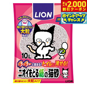 y2000~OFFN[|IGg[Ń|Cg+20{I}\IzLION CI jICƂ鎆̔L 10L Lpi ˂ObY ybgObY ybgpi