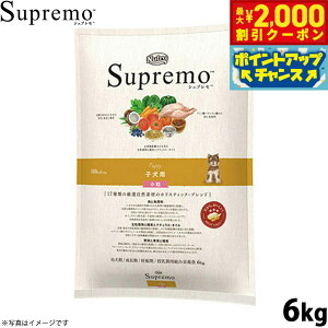 y2000~OFFN[|IGg[Ń|Cg+20{I}\Izj[g Vv hbOt[h S qp  6kg Y pi ybgpi v~A  [SP-PP]