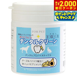 y2000~OFFN[|IGg[Ń|Cg+20{I}\IzO[[hbOA[X Tvg ҂҂ f^N[ `[Y 90g  f^PA  Y 