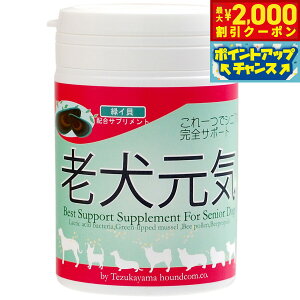 y2000~OFFN[|IGg[Ń|Cg+20{I{IzˎRnEhJ Tvg VC ֐߃PA 90g VjA  ΃CL ORT~ _ L h{⏕Hi