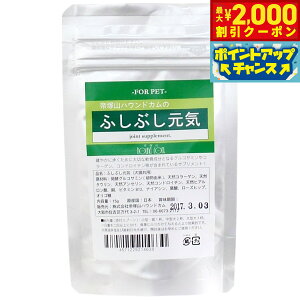 y2000~OFFN[|IGg[Ń|Cg+20{I{IzO[[hbOA[X Tvg ӂԂCVjA ֐߃PA 15g  ORT~ RhC` qA_ L