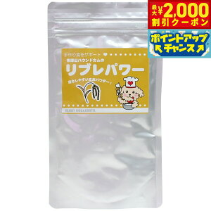 y2000~OFFN[|IGg[Ń|Cg+20{I{IzO[[hbOA[X ĕ up[ 100g  Y L h{⋋ _ H ӂ肩 ʃpbN