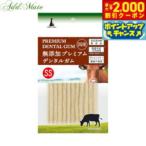 y2000~OFFN[|IGg[Ń|Cg+20{I{IzAhCg p Yv~Af^K SS 12{