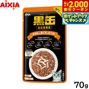 y2000~OFFN[|IGg[Ń|Cg+20{I}\IzACVA Lbgt[h ʃpE` ݓ܂Ƃ 70g L