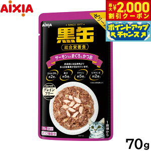 y2000~OFFN[|IGg[Ń|Cg+20{I}\IzACVA Lbgt[h ʃpE` T[܂Ƃ 70g L